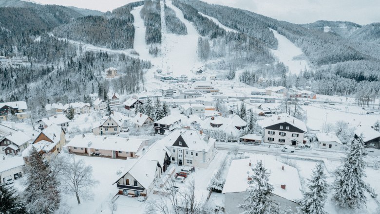 Snow-covered village with ski resort in the background.