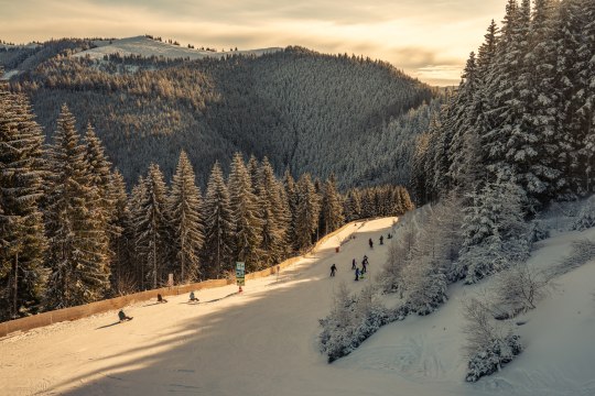 3 km lange Naturrodelbahn, © Semmering Hirschenkogel 