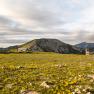 Mountain landscape with meadow and buildings on the Rax plateau.