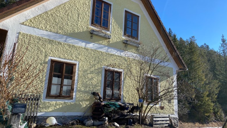 Gelbes Haus mit braunen Fenstern, umgeben von Bäumen und blauem Himmel.