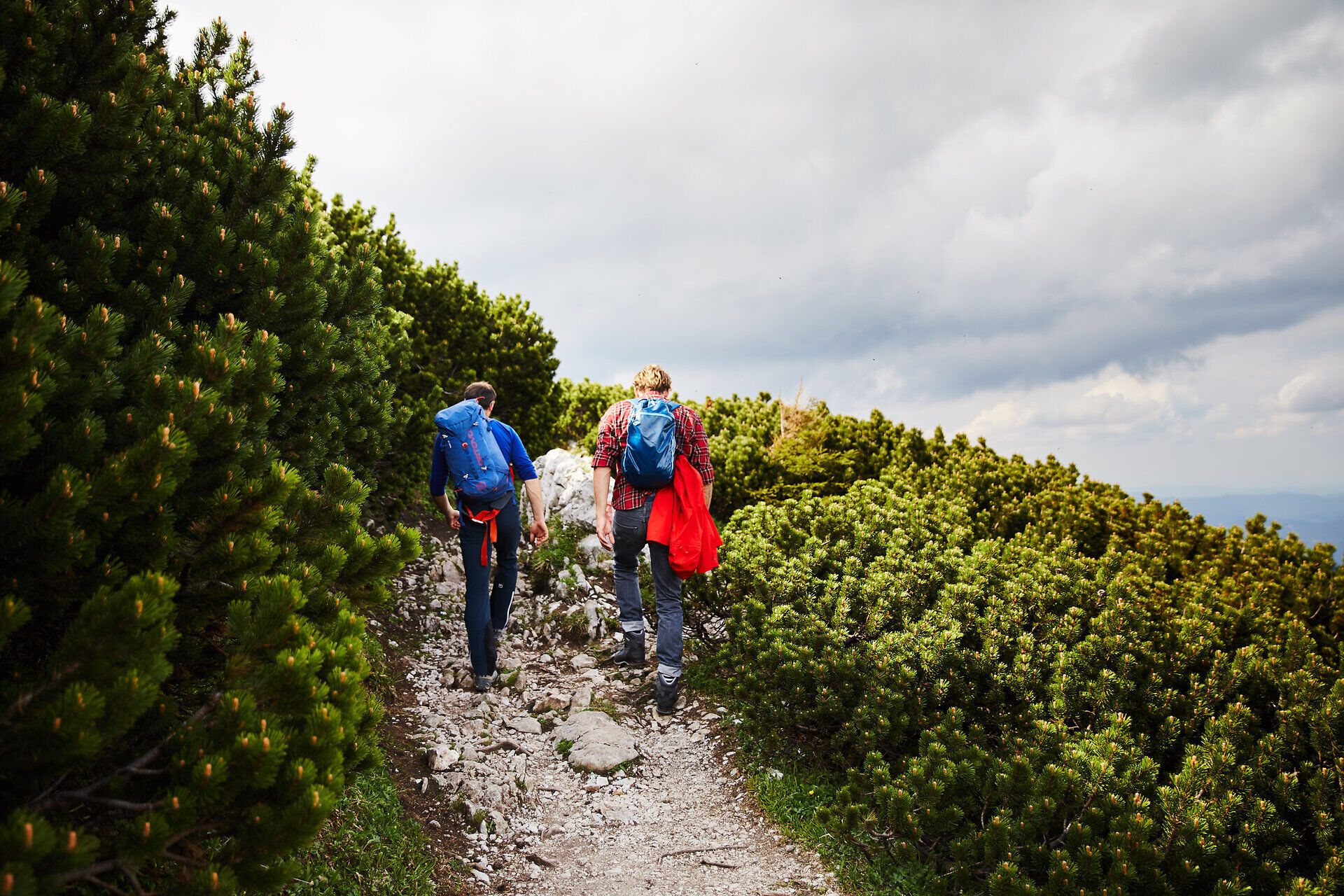Auf dem schmalen Pfad zwischen üppigem Grün und sanften Hügeln wandern zwei Abenteurer in die Höhe. Die frische Bergluft und die majestätische Kulisse der Wiener Alpen laden dazu ein, die Seele baumeln zu lassen und die Schönheit der Natur zu genießen.