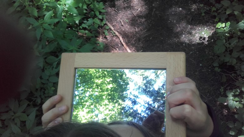 The beauty of the forest., &copy; Elisabeth Winkler