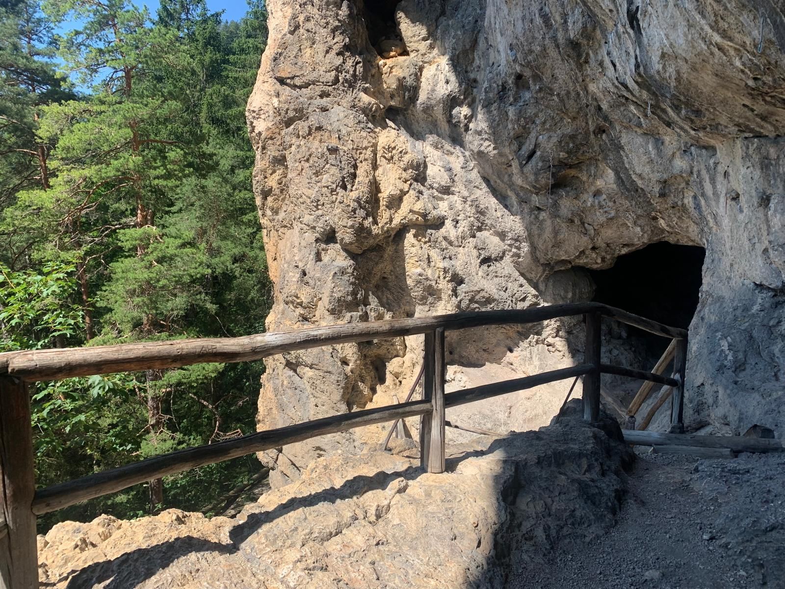 Holzzaun auf einem Felsen bei der Falkensteinerhöhle, dahinter Bäume