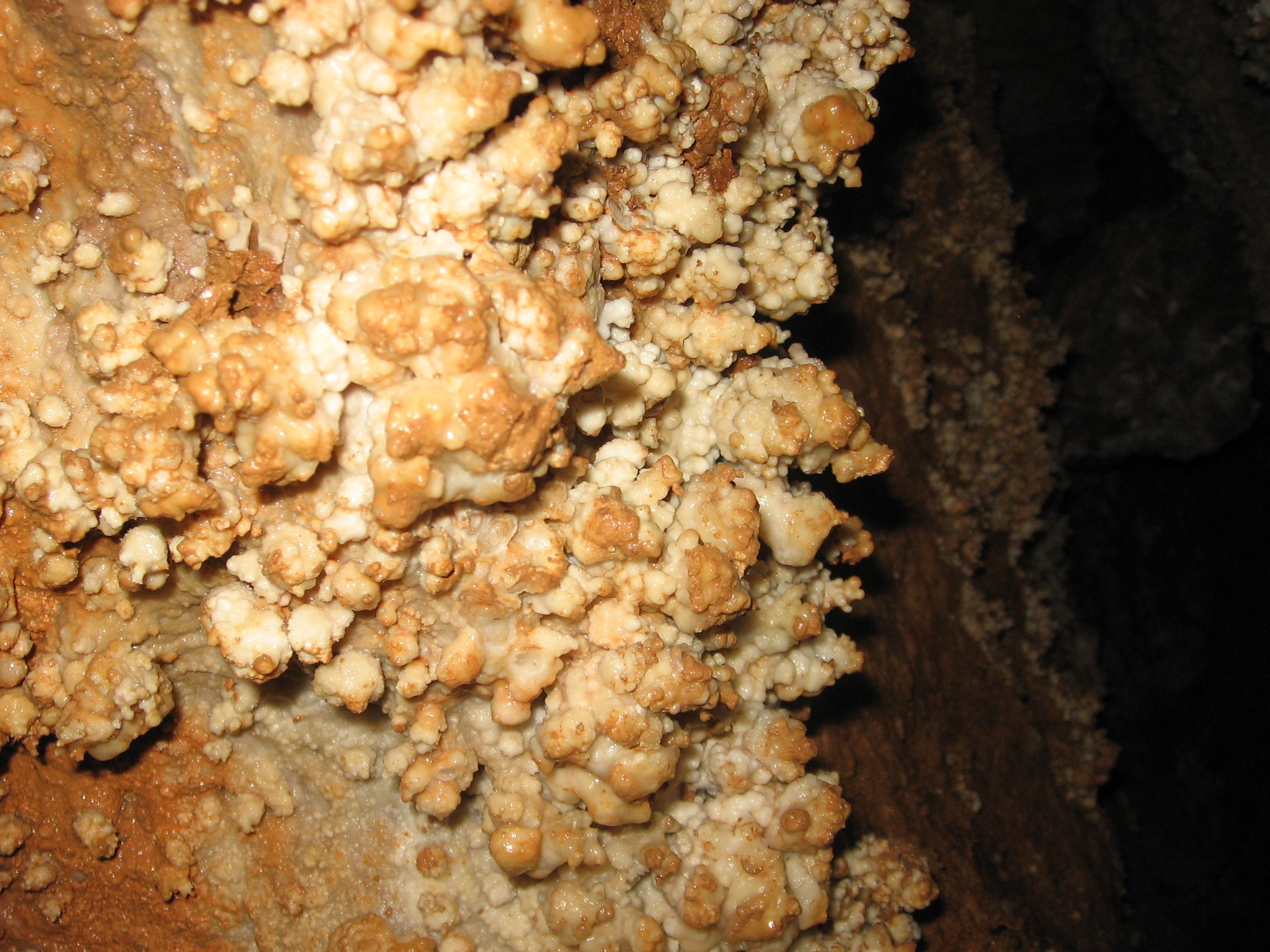 Nahaufnahme von mineralischen Ablagerungen in einer Höhle.