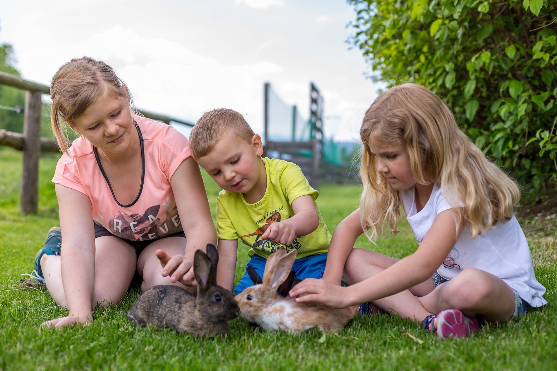 Drei Kinder sitzen auf einer Wiese und streicheln zwei Kaninchen.