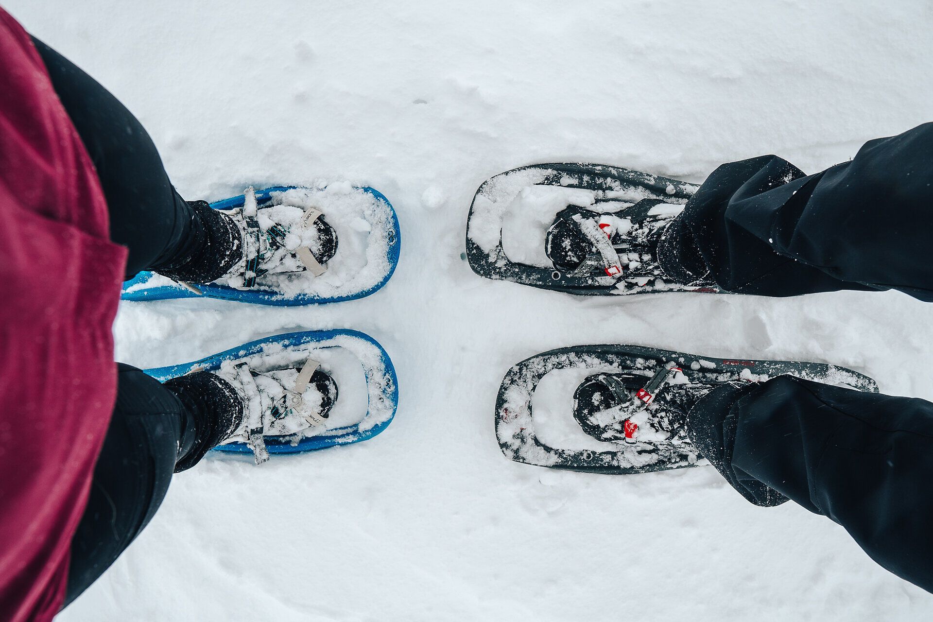 Die frische, klare Winterluft umhüllt die Wanderer, während sie mit Schneeschuhen durch die unberührte, glitzernde Schneelandschaft stapfen. Jeder Schritt hinterlässt eine Spur im weißen Teppich, der die Natur in eine traumhafte Winterlandschaft verwandelt. Hier, in den Wiener Alpen, wird das Abenteuer zum unvergesslichen Erlebnis.