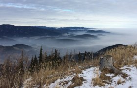Blick auf nebelverhangene Berge und Täler mit schneebedecktem Boden und Baumstumpf im Vordergrund.
