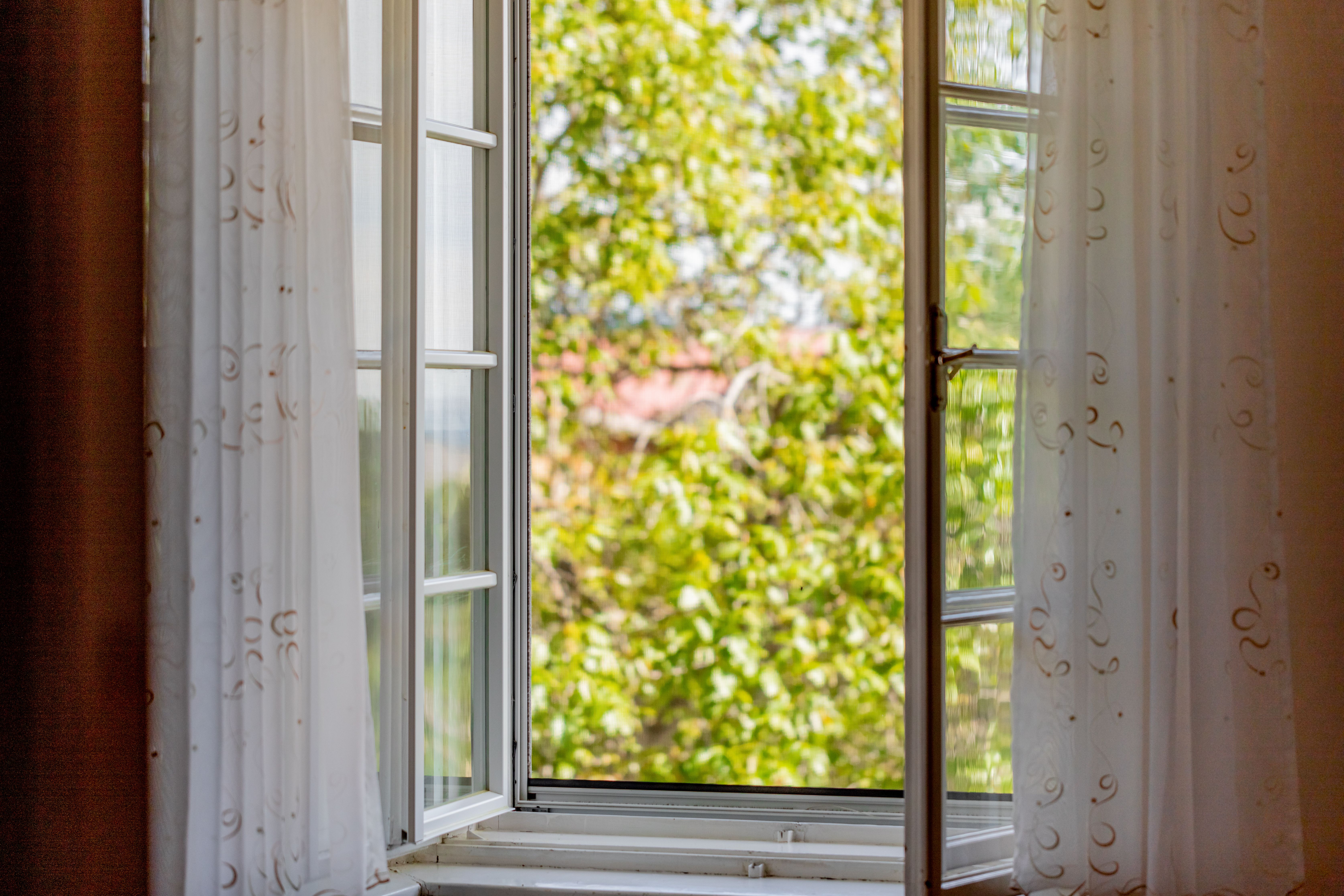 Geöffnetes Fenster mit Vorhang und Blick ins Grüne