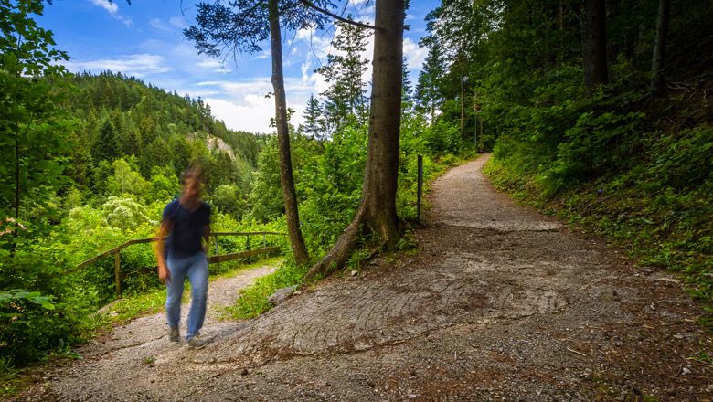 Ein Wanderweg im Wald mit einem unscharfen Wanderer im Vordergrund.