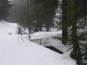 Der Weg zur Schoberalm, © Tourismusbüro Puchberg