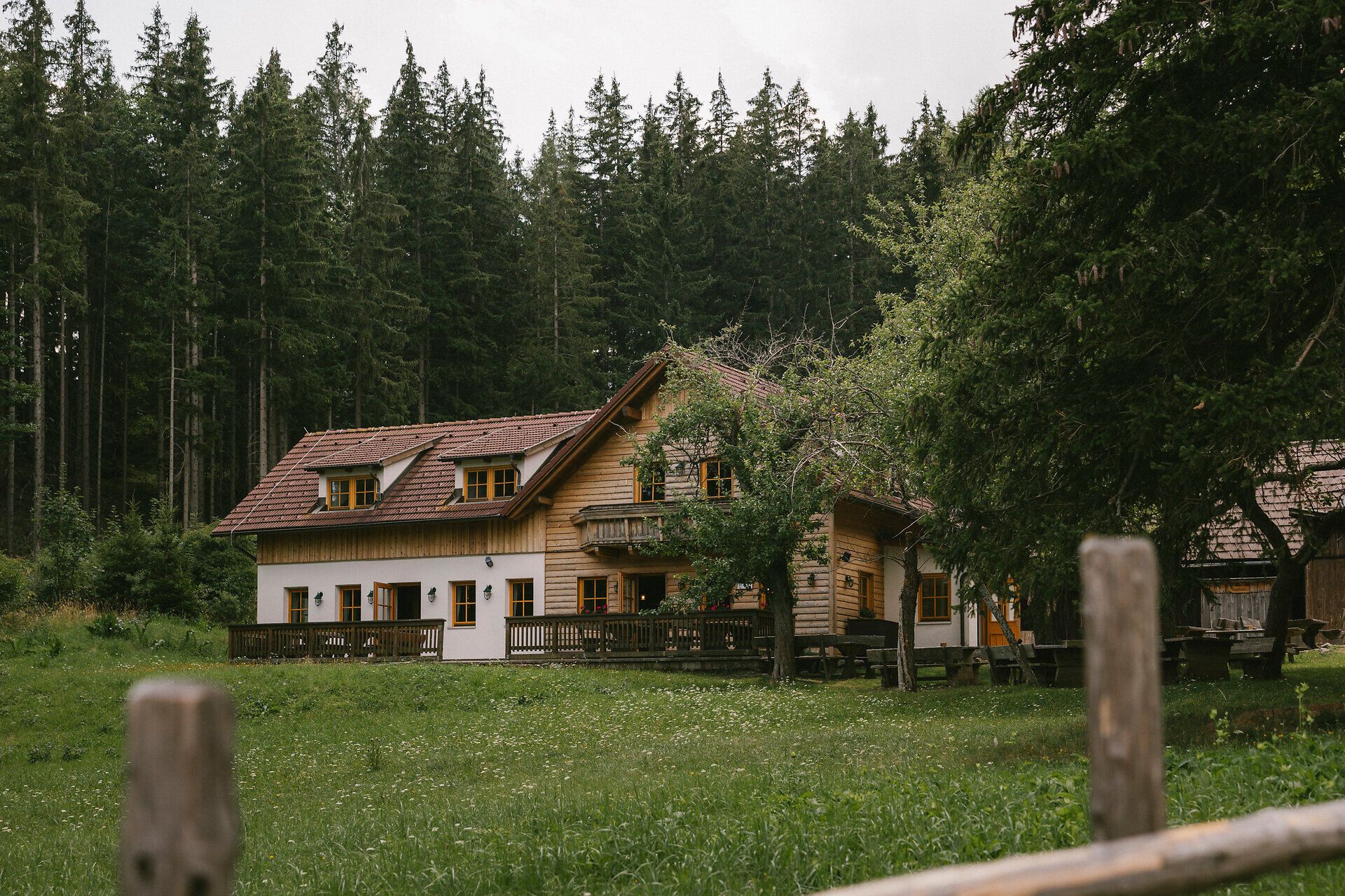 Außenansicht der Hengsthütte am Schneeberg umgeben von Wald und Wiese