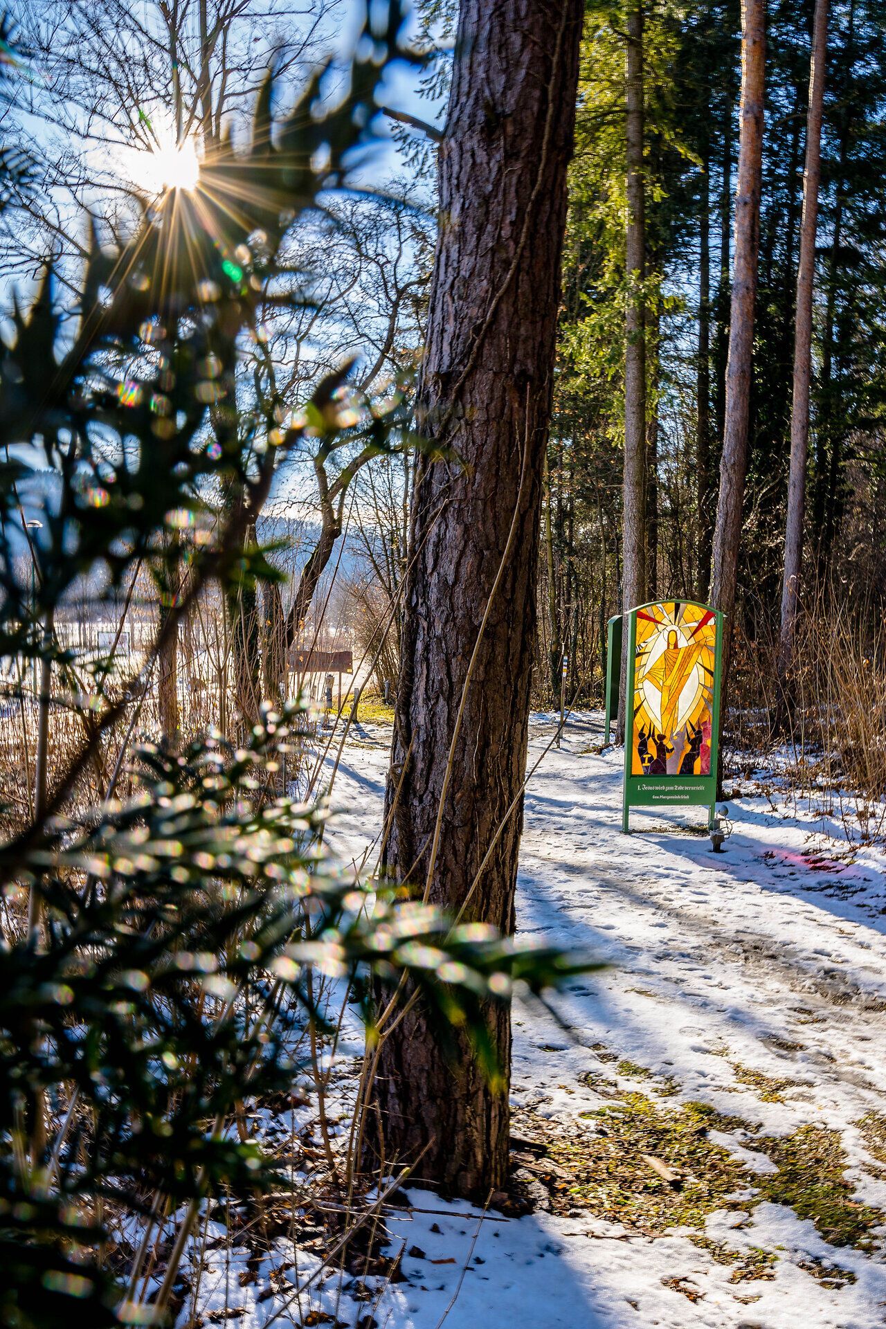 Station des Gläsernen Kreuzwegs auf einem schneebedeckten Waldweg. Die Sonne scheint im Hintergrund durch das Glas hindurch, was die Farben des Bildes besonders leuchten lässt.