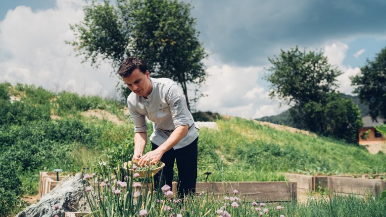 Ein Mann in einem Garten pfl&uuml;ckt Kr&auml;uter in einem Korb, umgeben von gr&uuml;ner Vegetation und B&auml;umen unter einem bew&ouml;lkten Himmel.