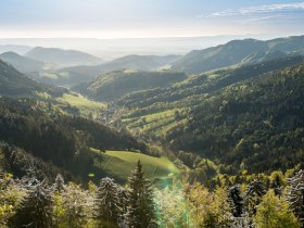 Blick ins Hornungstal bei Gutenmann, © Wiener Alpen in Niederösterreich