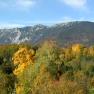 Herbstliche Landschaft mit bunten Bäumen und Berg im Hintergrund.