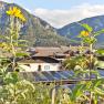 Sonnenblumen vor Solaranlagen und Bergen im Hintergrund.