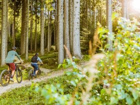Heidstübl-Strecke, © Wiener Alpen in Niederösterreich