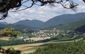 Blick auf Markt Piesting mit umliegenden Feldern und Bergen im Hintergrund.