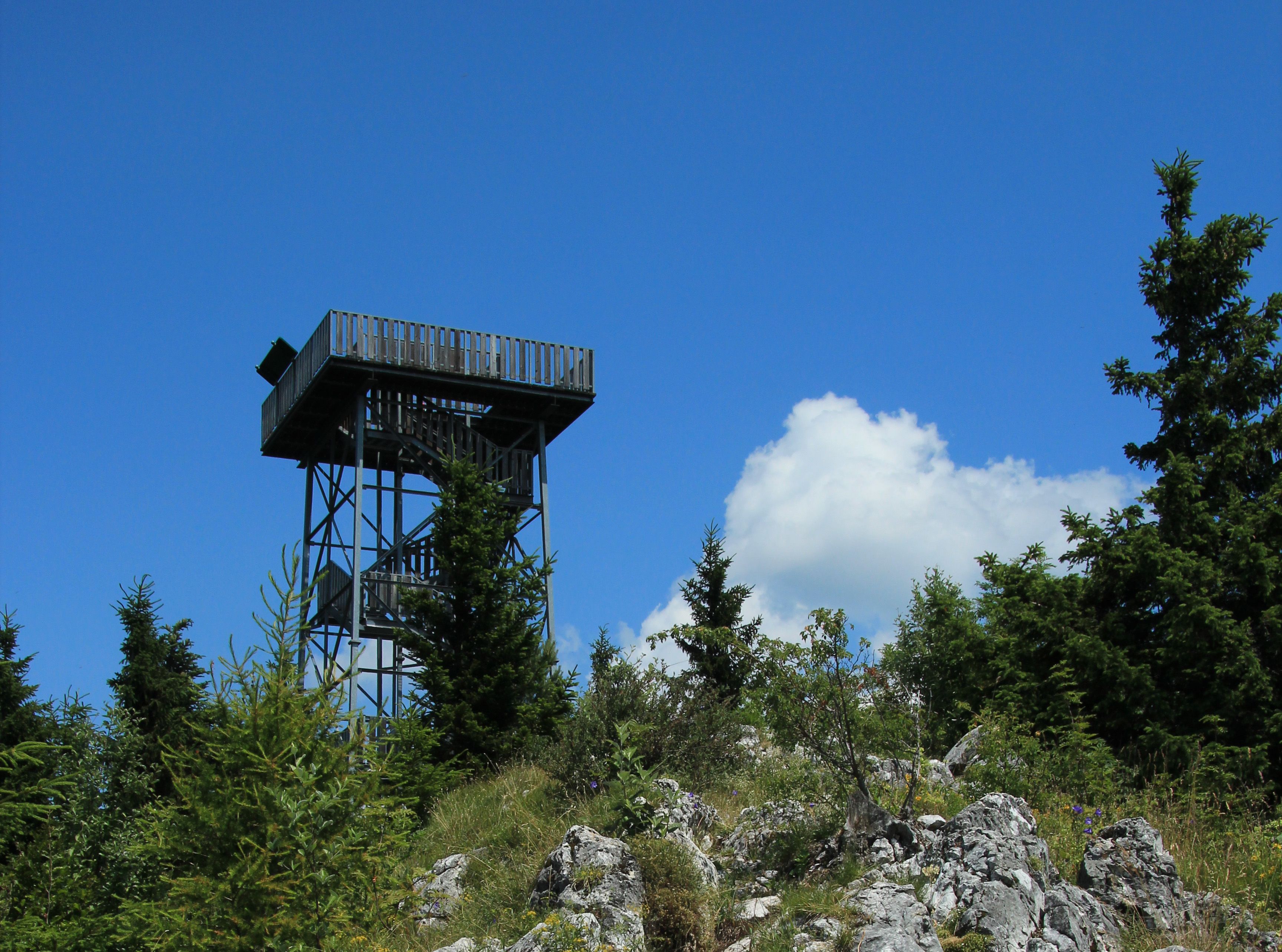 Aussichtsturm Hohe Wand Naturpark von unten