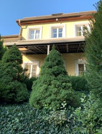 Gelbes Haus mit Balkon, umgeben von grünen Bäumen und Sträuchern.