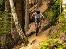 Downhill Line, &copy; Wexl Trails