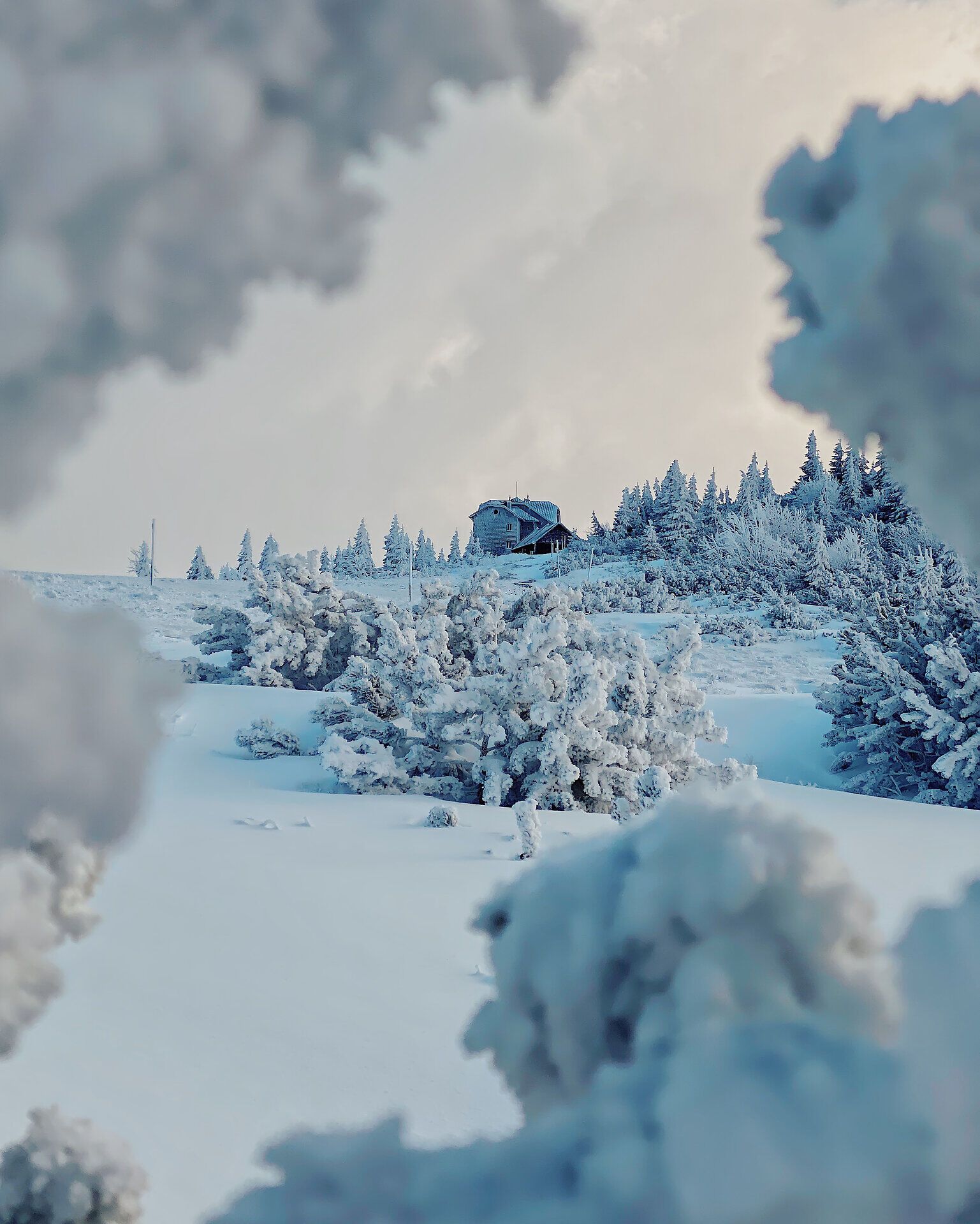 In der winterlichen Landschaft der Wiener Alpen erstrahlt die Natur in einem glitzernden Weiß. Die schneebedeckten Bäume und die sanften Hügel laden zu einem unvergesslichen Abenteuer ein, während die ruhige Atmosphäre zum Entspannen und Genießen einlädt.