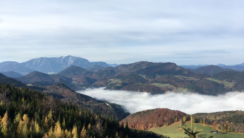 Blick auf eine Berglandschaft mit Nebel in den Tälern und bewaldeten Hügeln im Vordergrund.