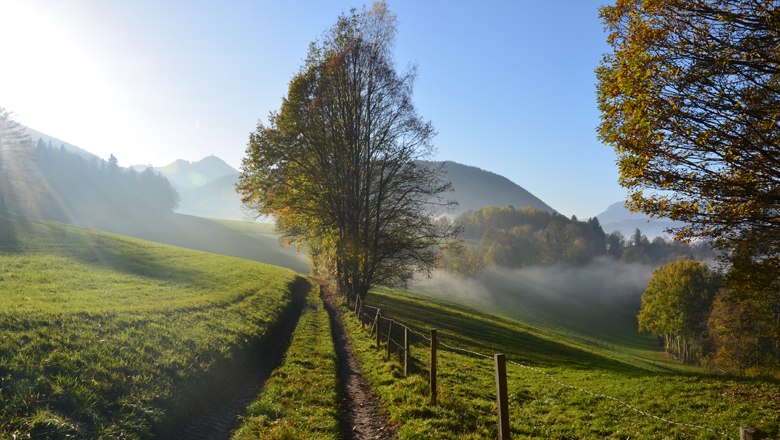 Ein Wanderweg f&uuml;hrt durch eine gr&uuml;ne Landschaft mit B&auml;umen und Bergen im Hintergrund, beleuchtet von Sonnenstrahlen.