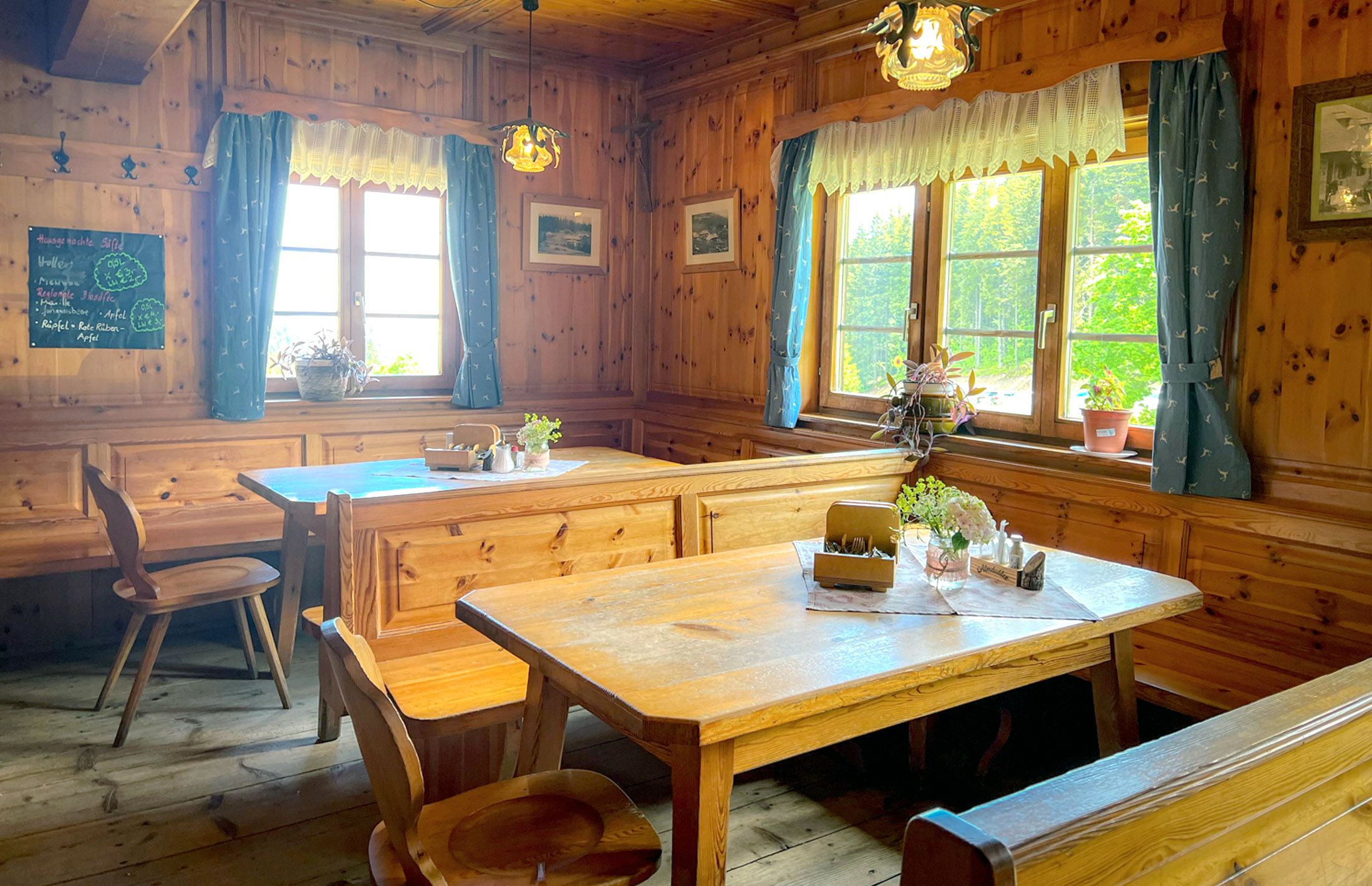 Gemütliche Stube mit Holzmöbeln, blauen Vorhängen und Pflanzen auf den Tischen.