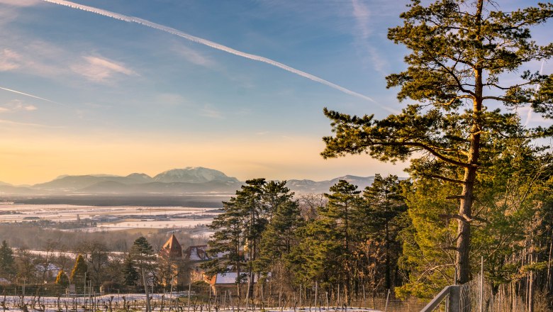 Winterlandschaft mit B&auml;umen und Bergen im Hintergrund bei Sonnenuntergang.