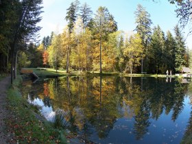 Teich in Sachsenbrunn, © Tourismusverein Kirchberg
