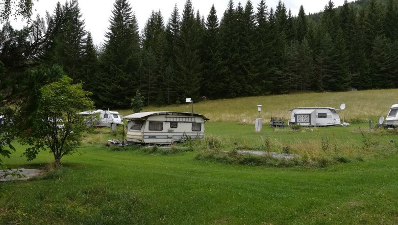 Campingplatz mit Wohnwagen auf einer Wiese vor einem Wald.