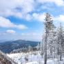 Verschneite Berglandschaft mit B&auml;umen und blauem Himmel.