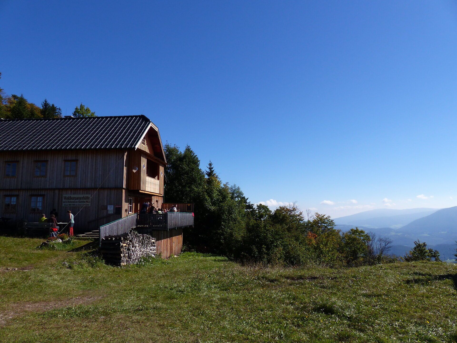 Hütte mit Holzfassade auf einer grünen Wiese