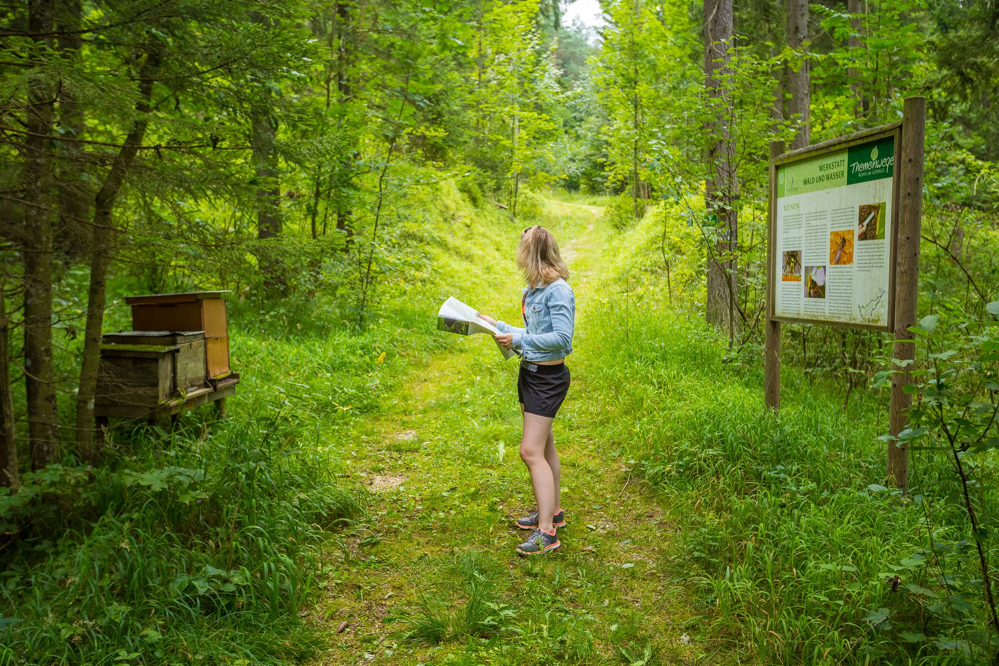 Themenweg im Wald, wanderin bei Spieltafeln 