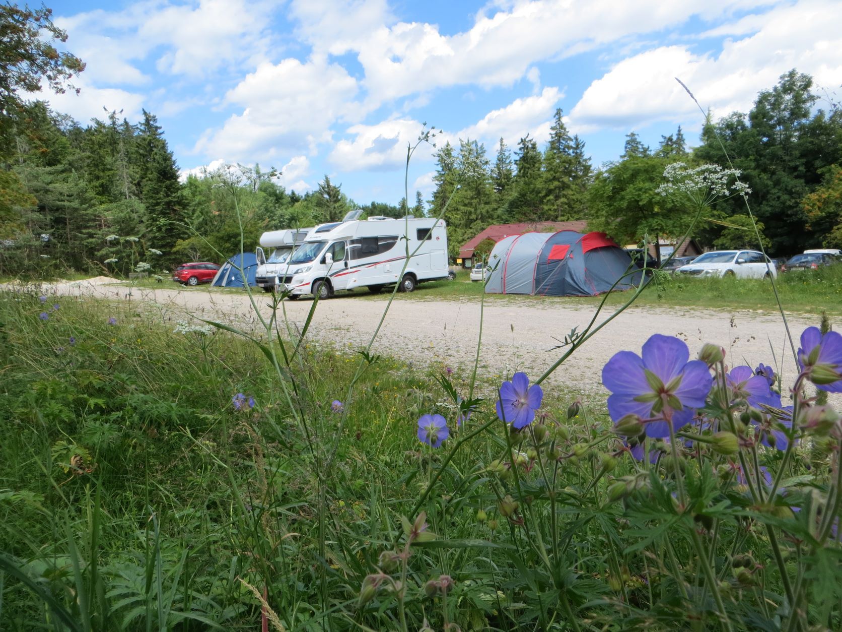 Campingplatz mit Wohnmobilen, Zelten und blühenden Blumen im Vordergrund.