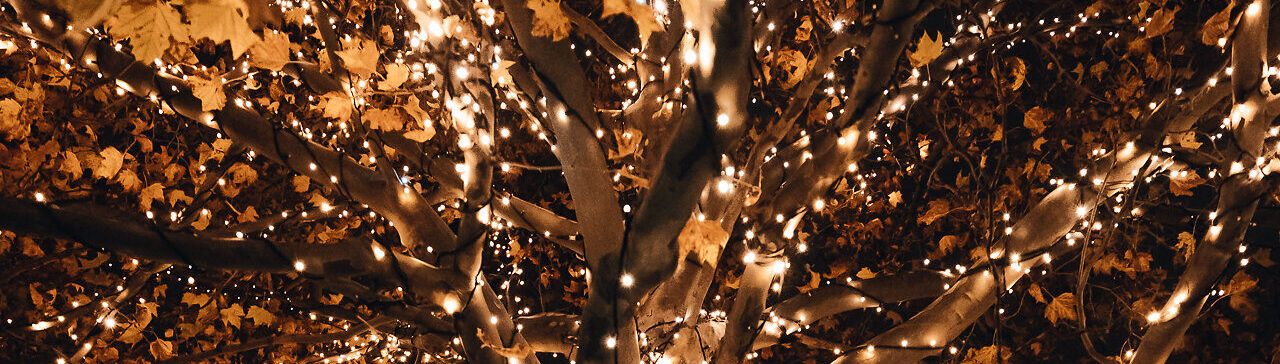 Lichter