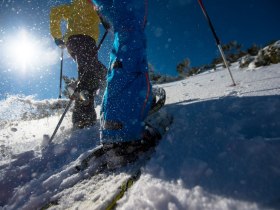 Schneeschuhwandern, © ©Wiener Alpen, Foto: Claudia Ziegler