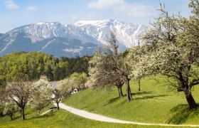 Wandern im Paradies der Blicke , © Wiener Alpen/Zwickl 