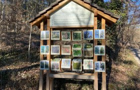A wooden sign in the forest shows a tree memory game with pictures of the bark, leaves, flowers and fruit of various trees.