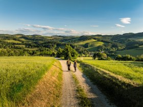 Zwei Wandernde auf einem Feldweg in grüner, hügeliger Landschaft, © Wiener Alpen in Niederösterreich - Bad Erlach