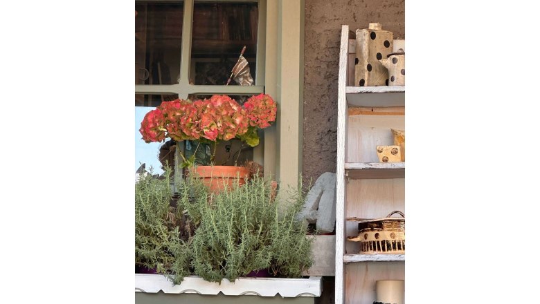 Fenster mit Blumen und Regal mit Keramik im Atelier.