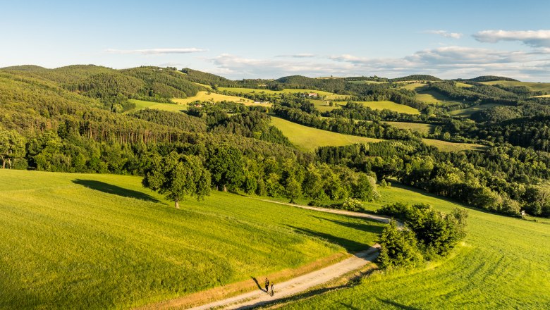 Landschaft mit grünen Hügeln und einem Wanderweg, auf dem zwei Personen gehen.