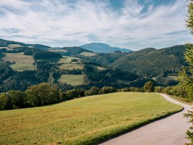 Kurvige, schmale Stra&szlig;e &uuml;ber einen H&uuml;gel, im Hintergrund der Schneeberg.