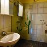 Badezimmer mit Waschbecken, Spiegel und Duschwand mit Blumenmotiv.